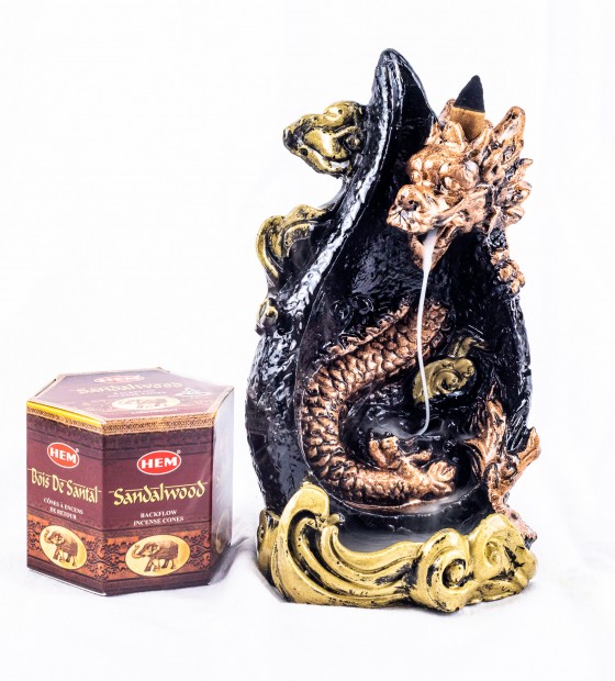 Geri akış tütsülük ejderha